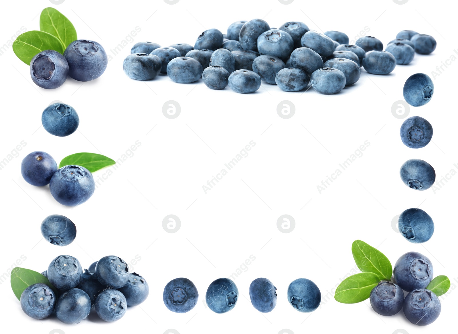 Image of Frame of fresh blueberries on white background