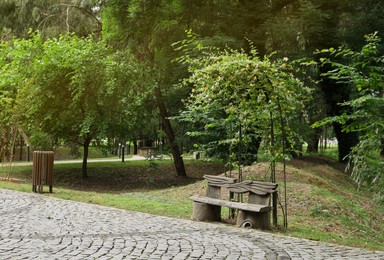 Photo of Beautiful green park with bench, trash bin and paved pathway