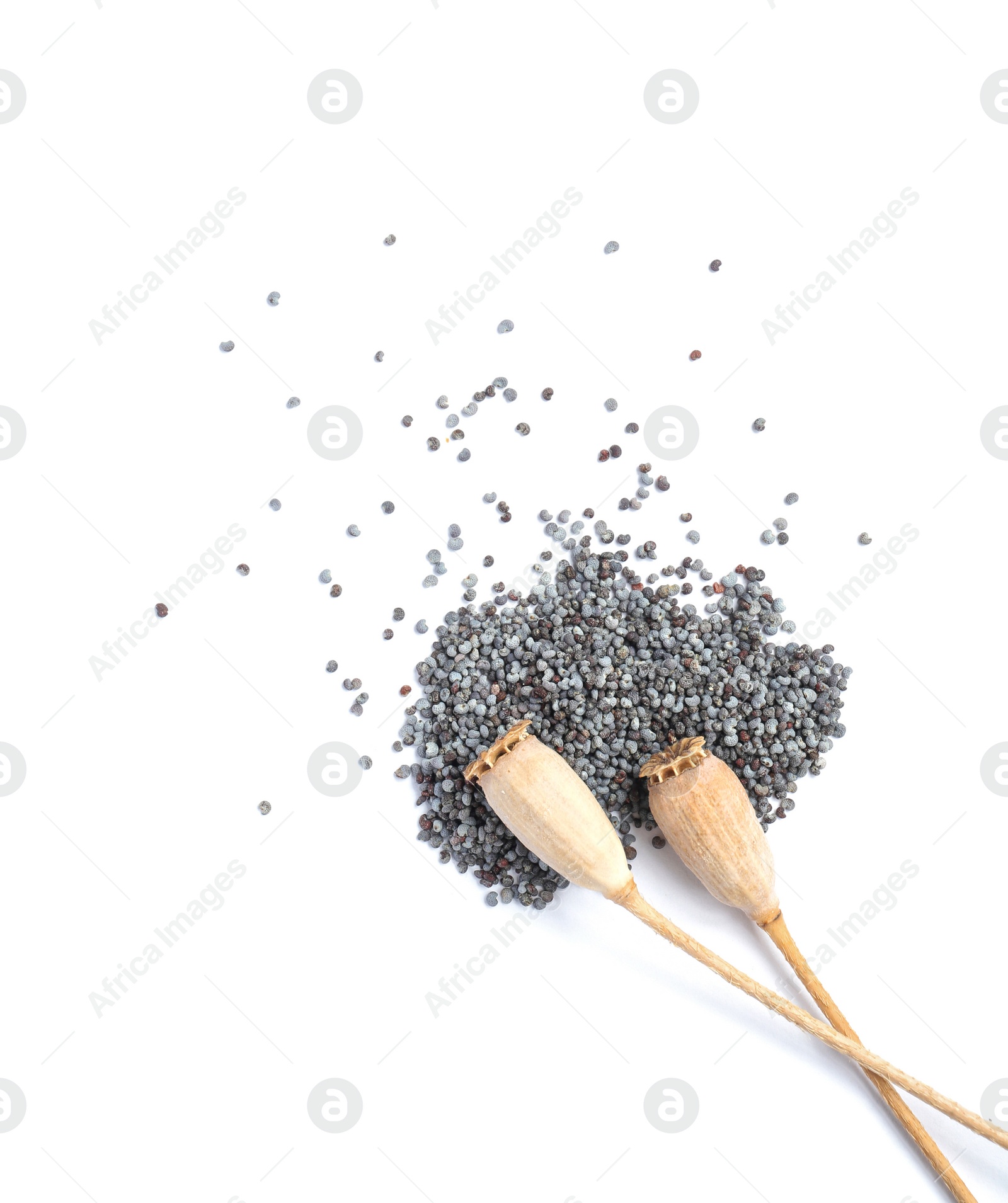 Photo of Dry poppy heads and seeds on white background, top view