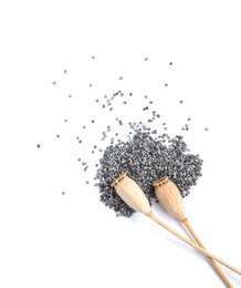 Dry poppy heads and seeds on white background, top view