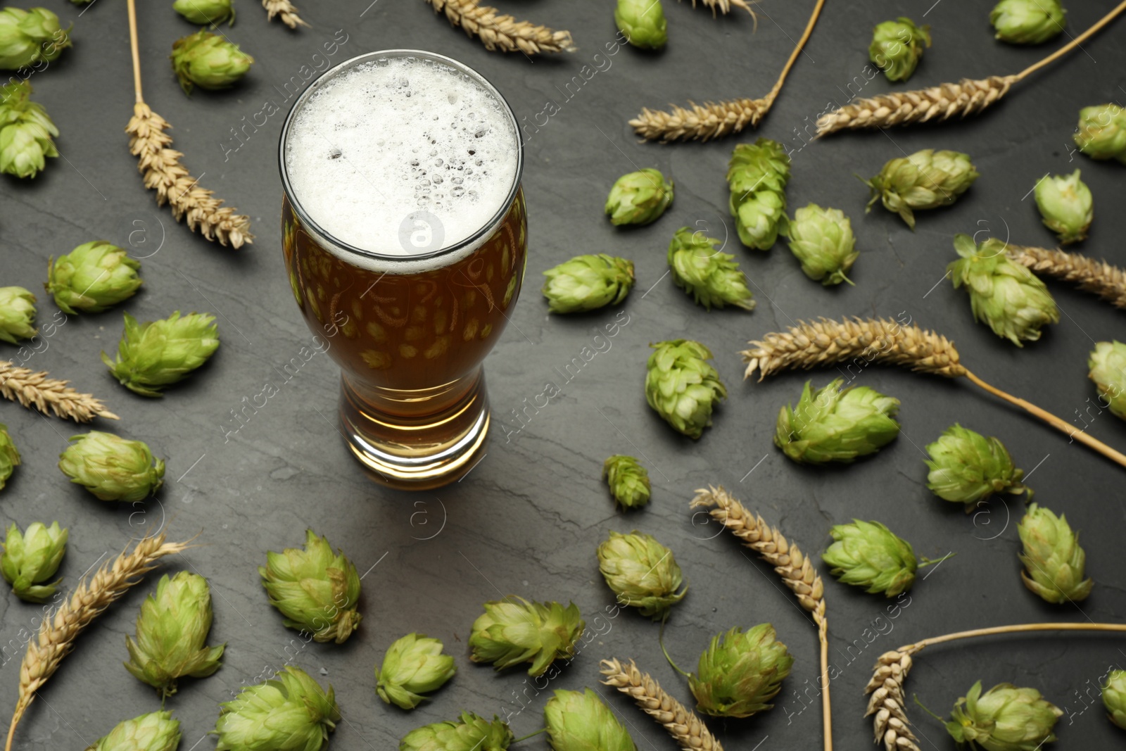 Photo of Glass of beer, fresh green hops and spikes on dark grey table