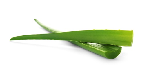 Photo of Aloe vera leaves on white background