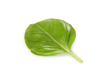 One green basil leaf isolated on white