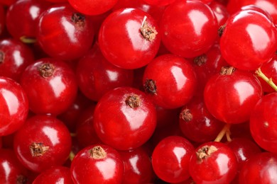 Photo of Many tasty fresh red currants as background, closeup