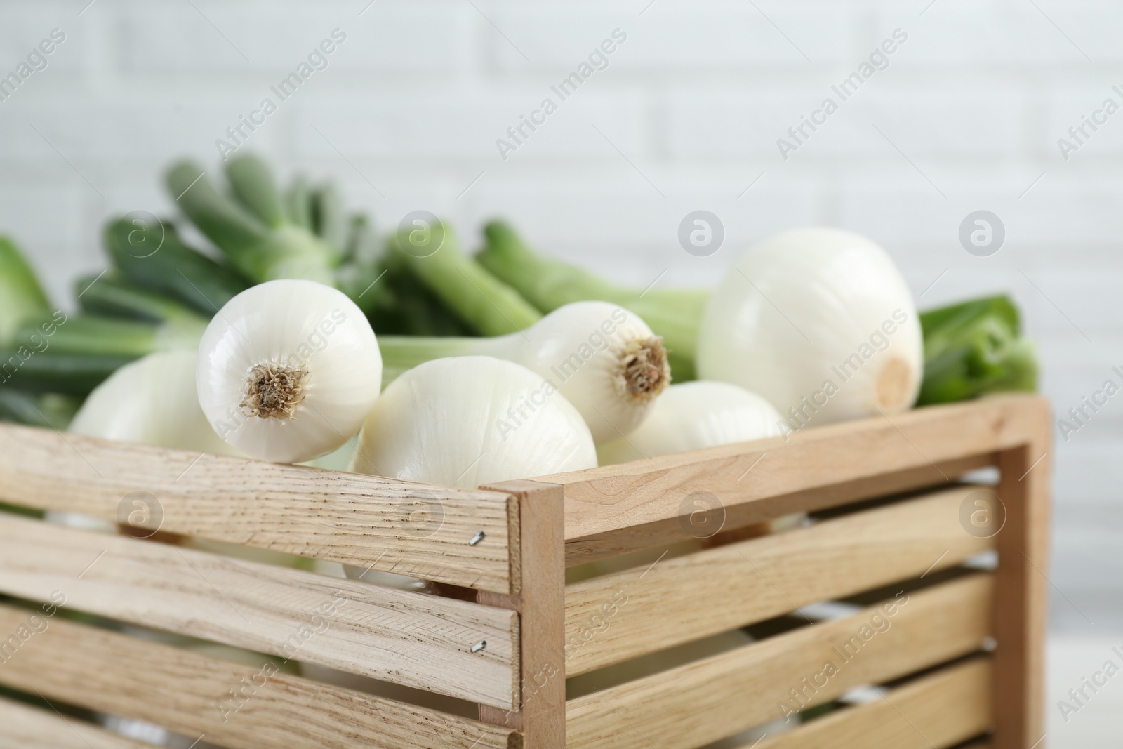 Photo of Crate with green spring onions, closeup view