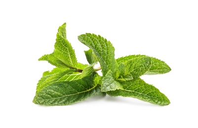 Photo of Fresh green mint leaves on white background