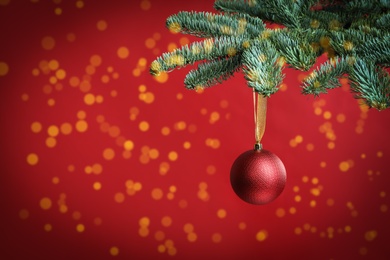 Beautiful Christmas ball hanging on fir tree branch against red background, bokeh effect. Space for text