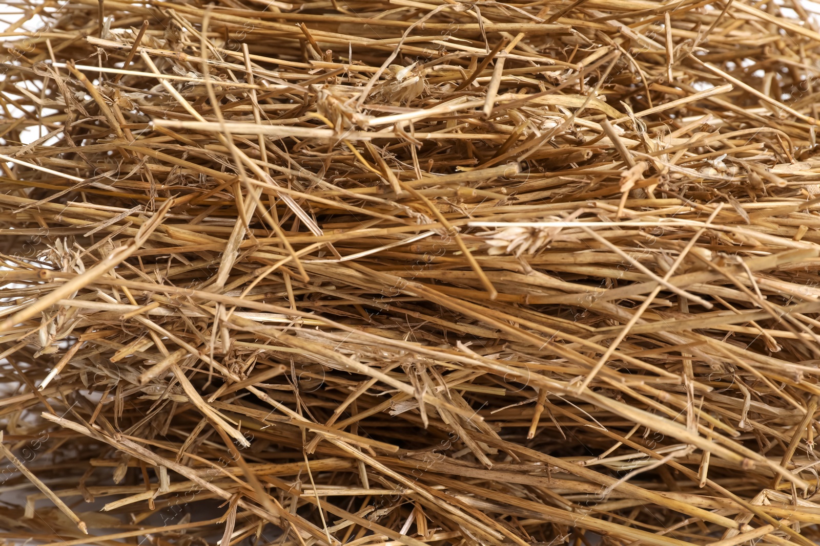 Photo of Dried straw as background, closeup. Livestock feed