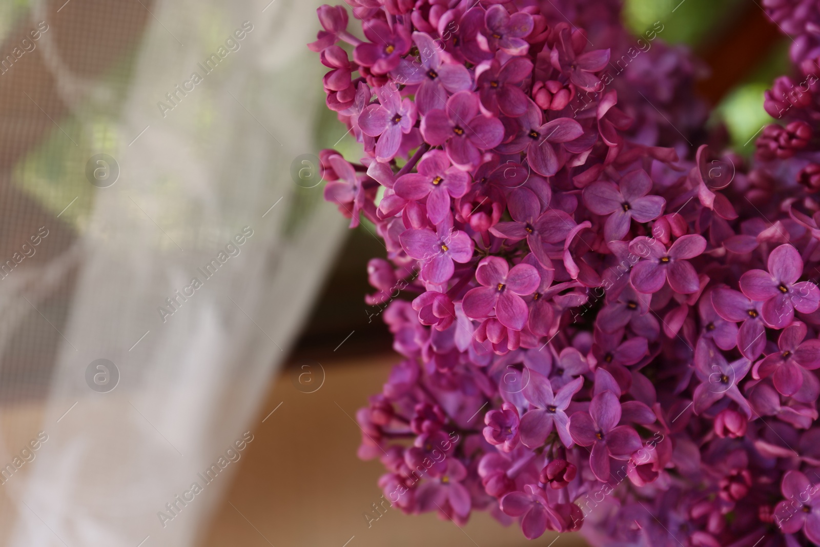 Photo of Beautiful lilac flowers near window indoors, closeup. Space for text