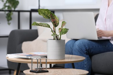 Woman using laptop in living room, focus on houseplant