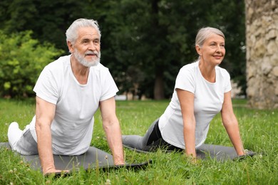 Photo of Senior couple practicing yoga on green grass in park