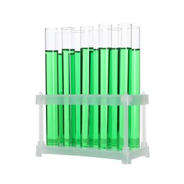 Many test tubes with green liquid in stand isolated on white