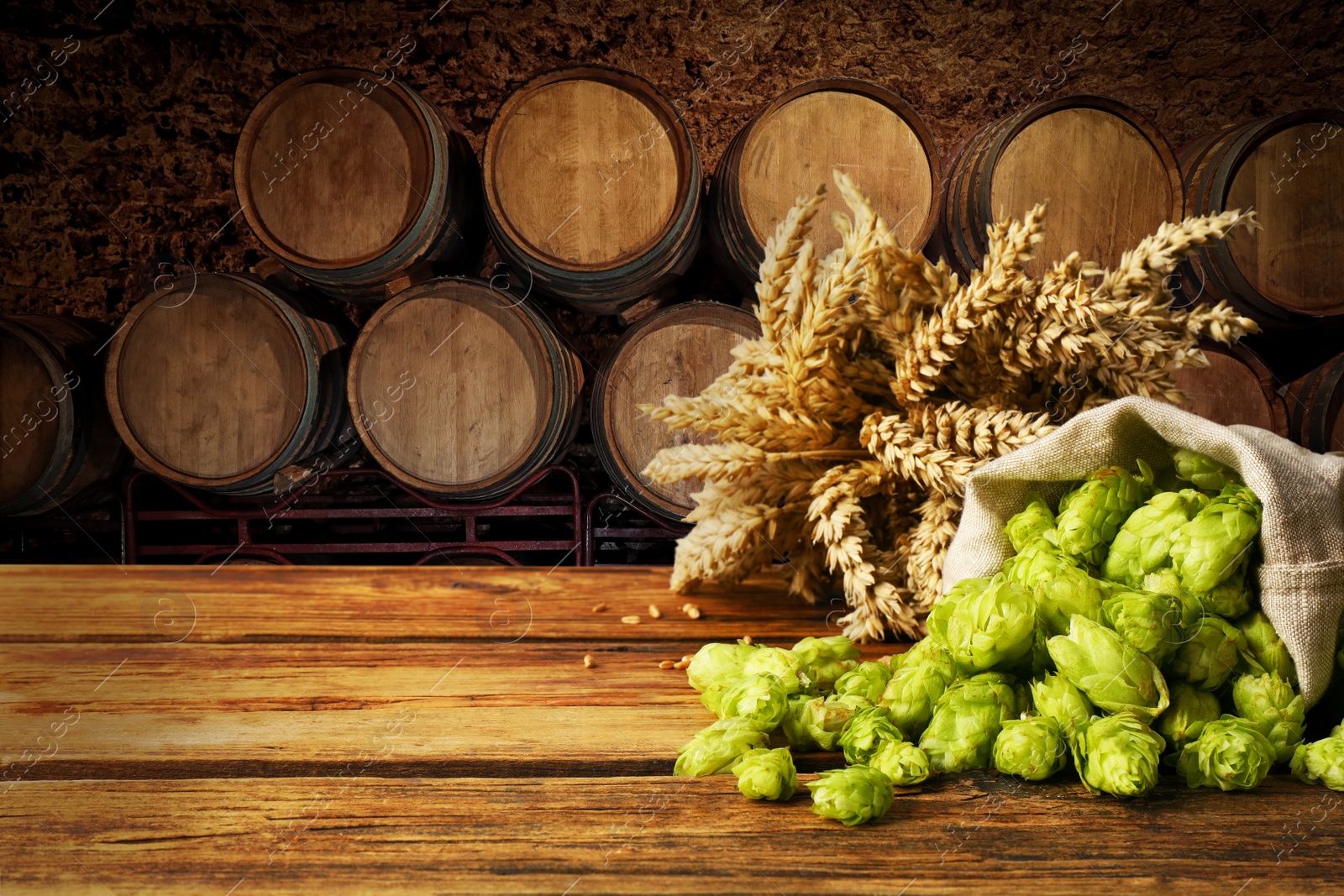 Image of Fresh hops and wheat spikes on wooden table in beer cellar, space for text