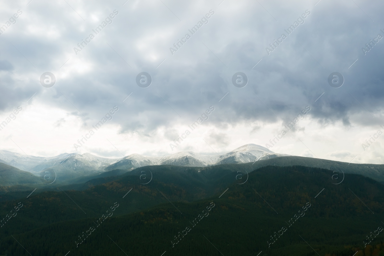 Image of Aerial view of beautiful forest in mountains on autumn day