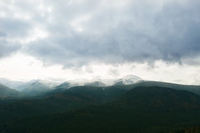 Aerial view of beautiful forest in mountains on autumn day