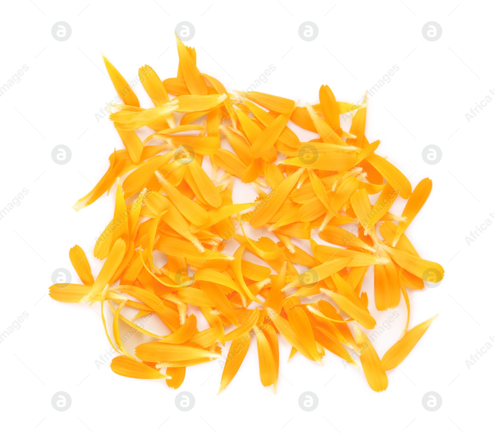 Photo of Pile of beautiful calendula petals on white background, top view