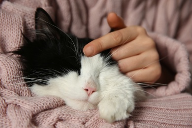 Photo of Woman stroking adorable long haired cat, closeup