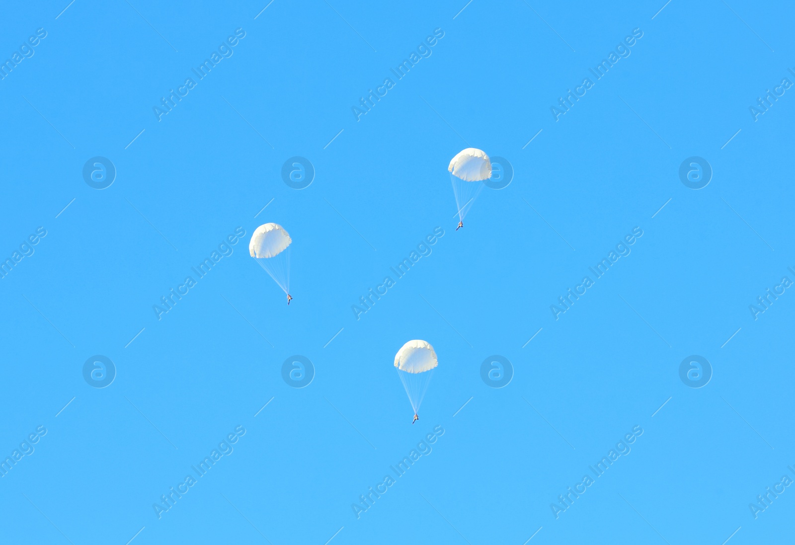 Photo of Paratrooper parachuting in blue sky. Military service