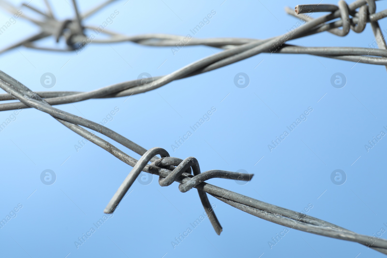 Photo of Metal barbed wire on light blue background, closeup