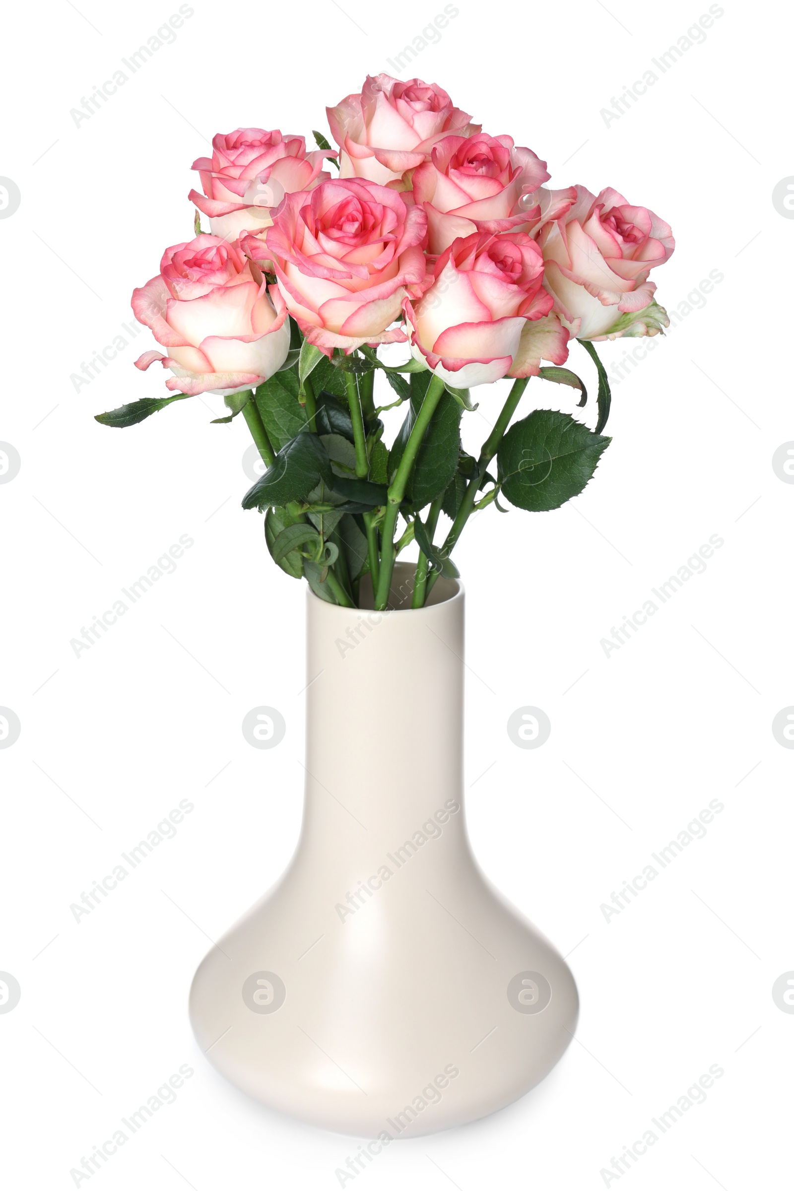 Photo of Beige vase with beautiful pink roses isolated on white