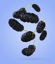 Image of Fresh ripe black mulberries falling on light blue background