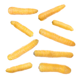 Fresh yellow carrots falling on white background