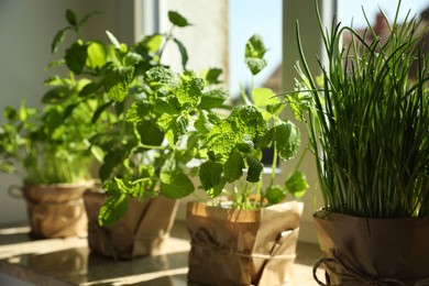 Photo of Different aromatic potted herbs on windowsill indoors, closeup