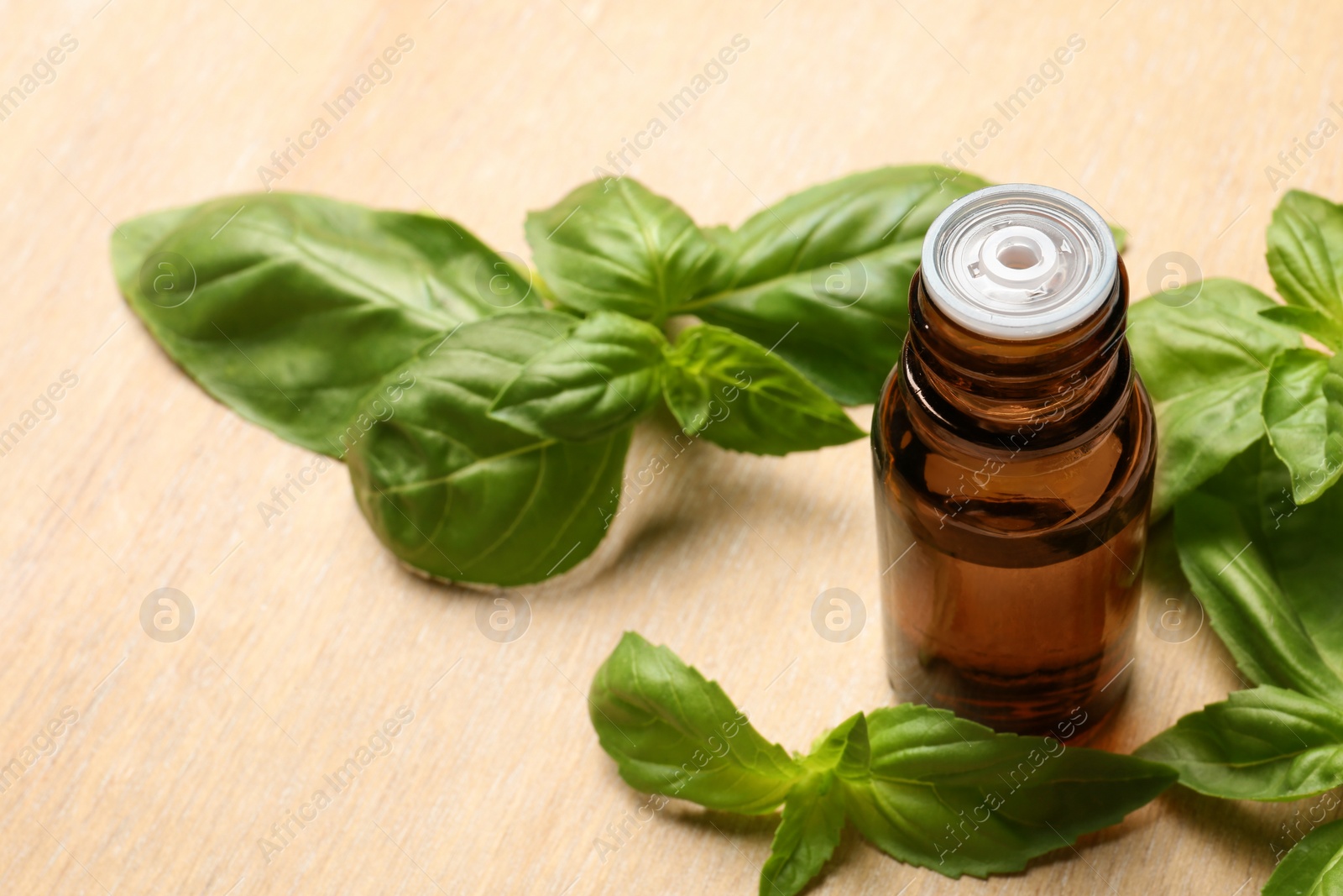 Photo of Bottle of basil essential oil and fresh leaves on wooden table. Space for text