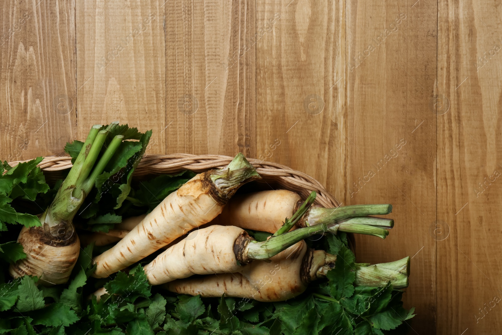 Photo of Tasty fresh ripe parsnips in wicker basket on wooden table, top view. Space for text