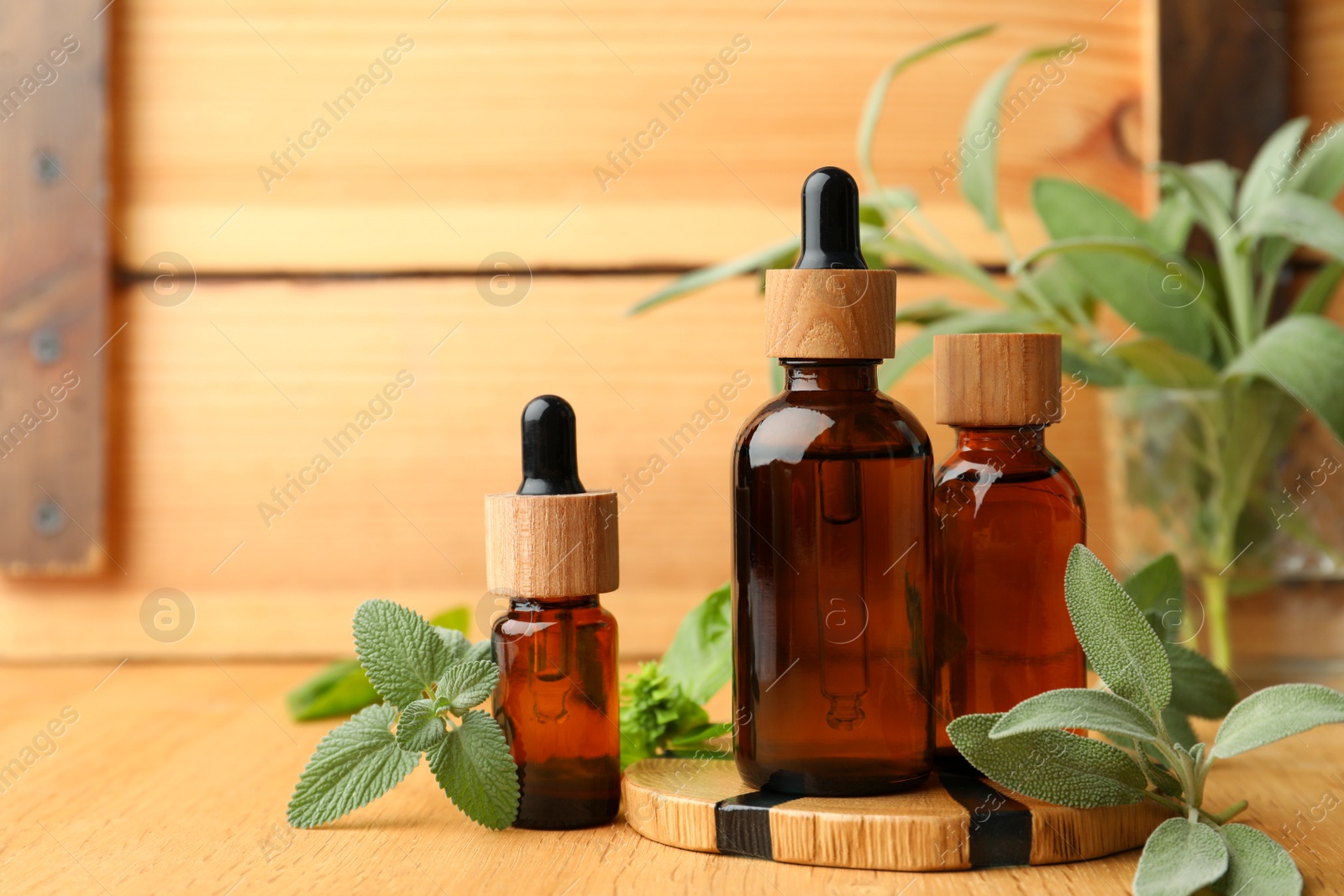 Photo of Bottles of essential oils and fresh herbs on wooden table, space for text