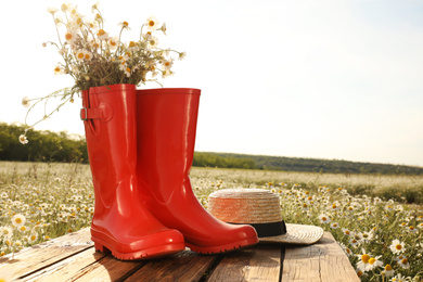 Photo of Red rubber boots with chamomiles and straw hat on wooden table in field