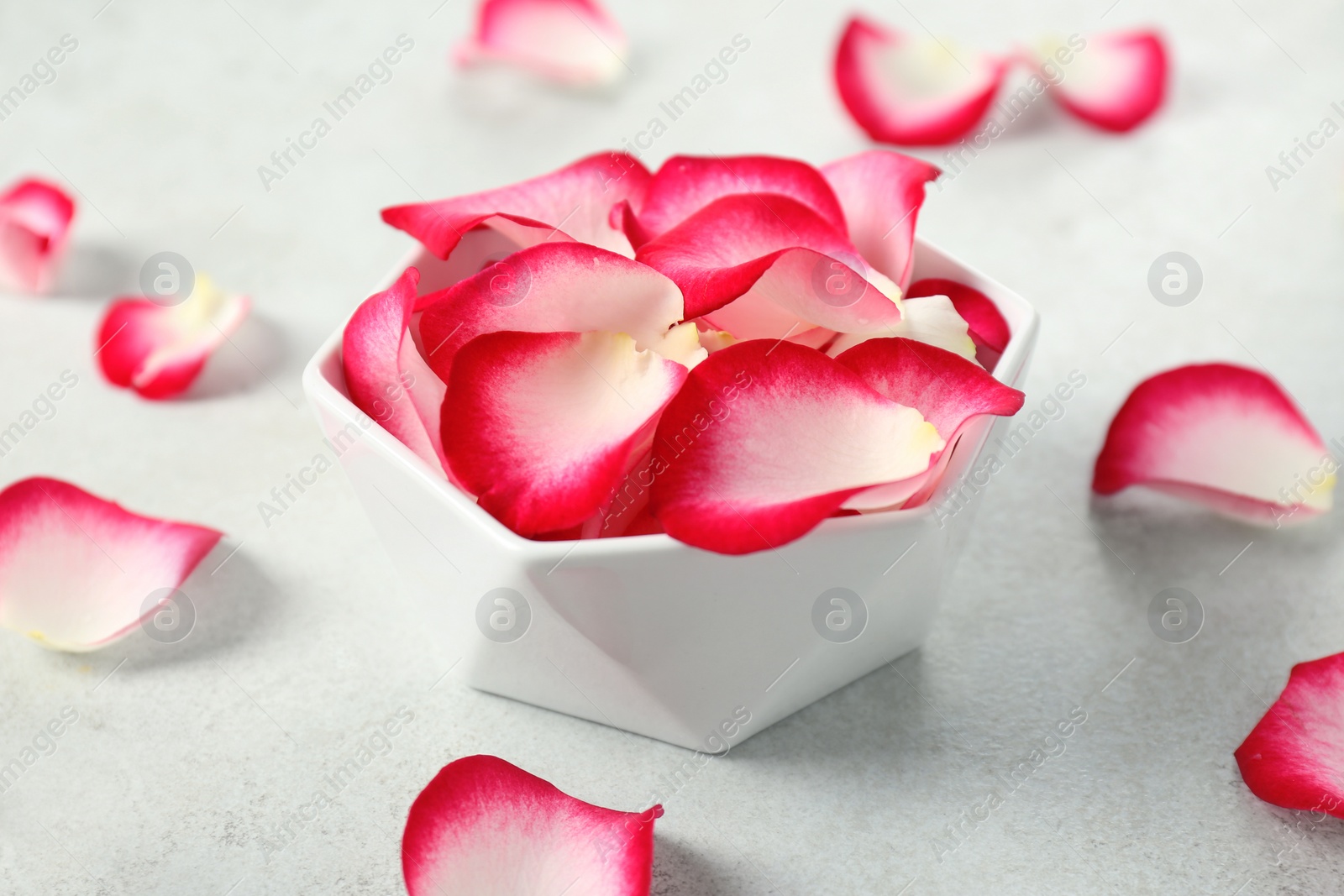 Photo of Bowl with rose petals on light background