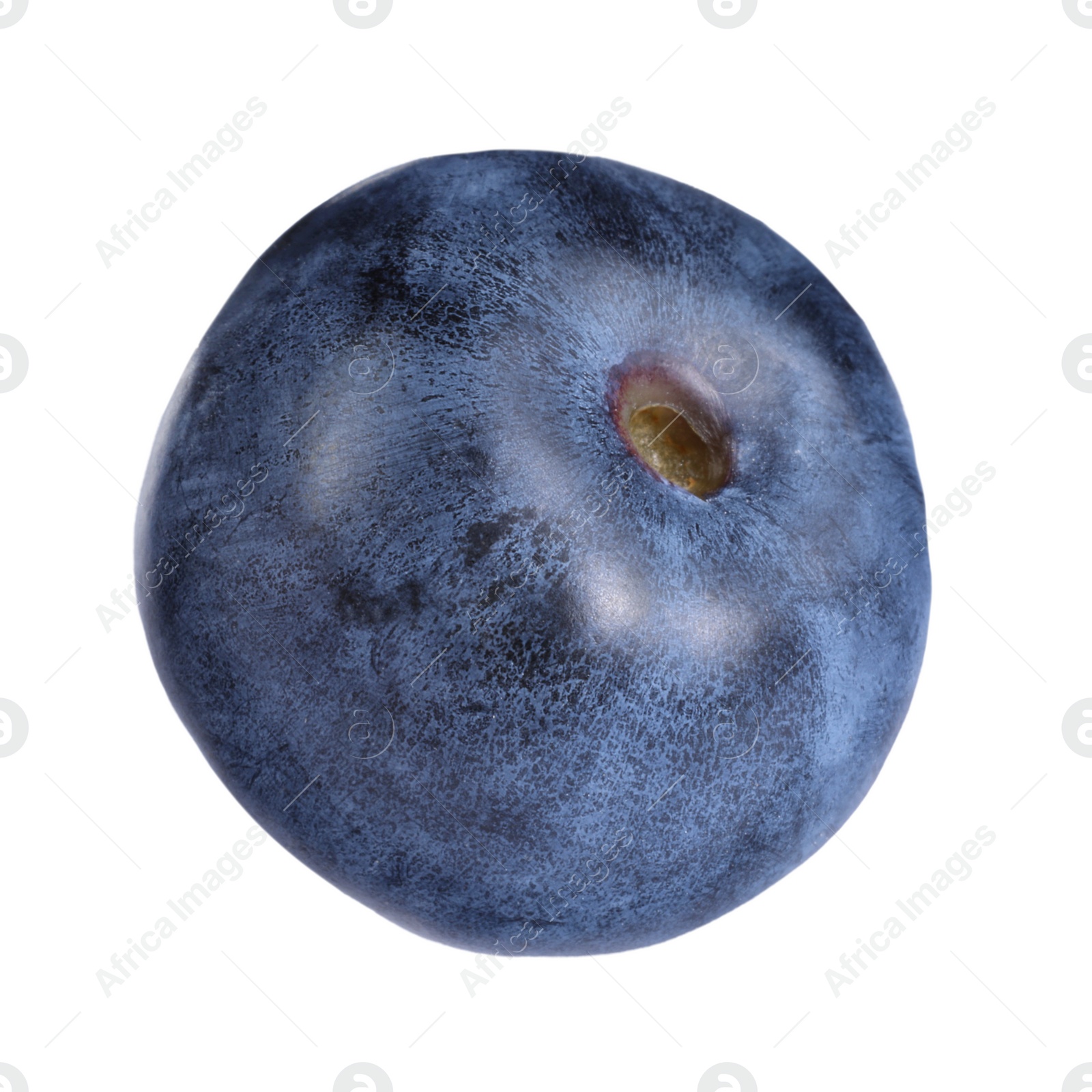 Photo of One fresh ripe blueberry isolated on white