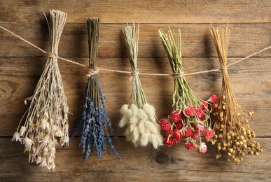 Bunches of beautiful dried flowers hanging on rope near wooden wall