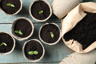 Photo of Young seedlings and sack with soil on light blue wooden table, flat lay