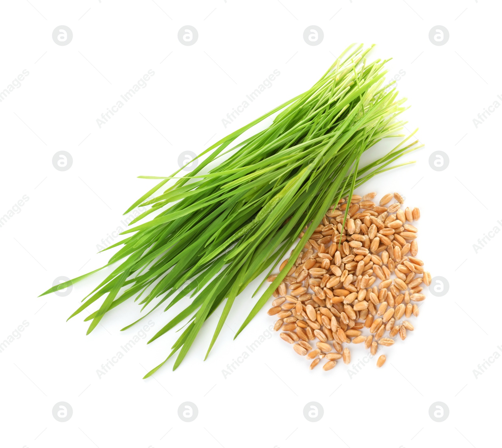 Photo of Composition with wheat grass and seeds on white background, top view