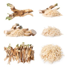 Image of Roots, grated and cut horseradish isolated on white, collage design