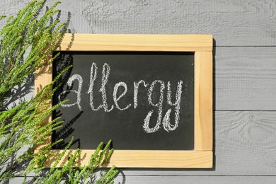 Photo of Ragweed plant (Ambrosia genus) and chalkboard with word "ALLERGY" on light wooden background, flat lay