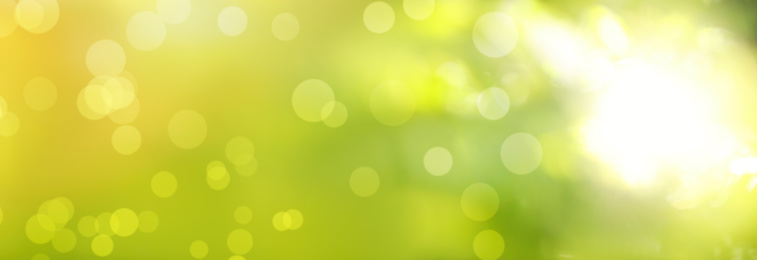 Image of Blurred view of abstract green background, bokeh effect. Springtime