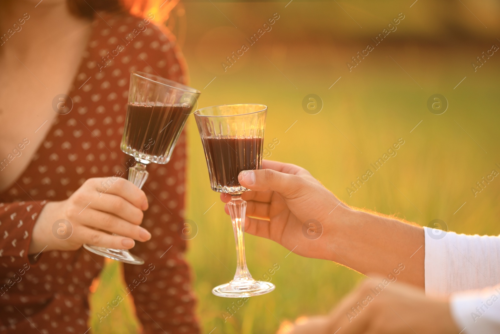 Photo of Happy young couple clinking wineglasses in park, closeup. Picnic season