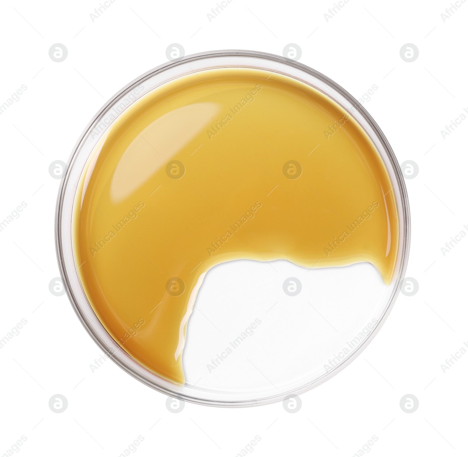 Photo of Petri dish with color liquid sample isolated on white, top view