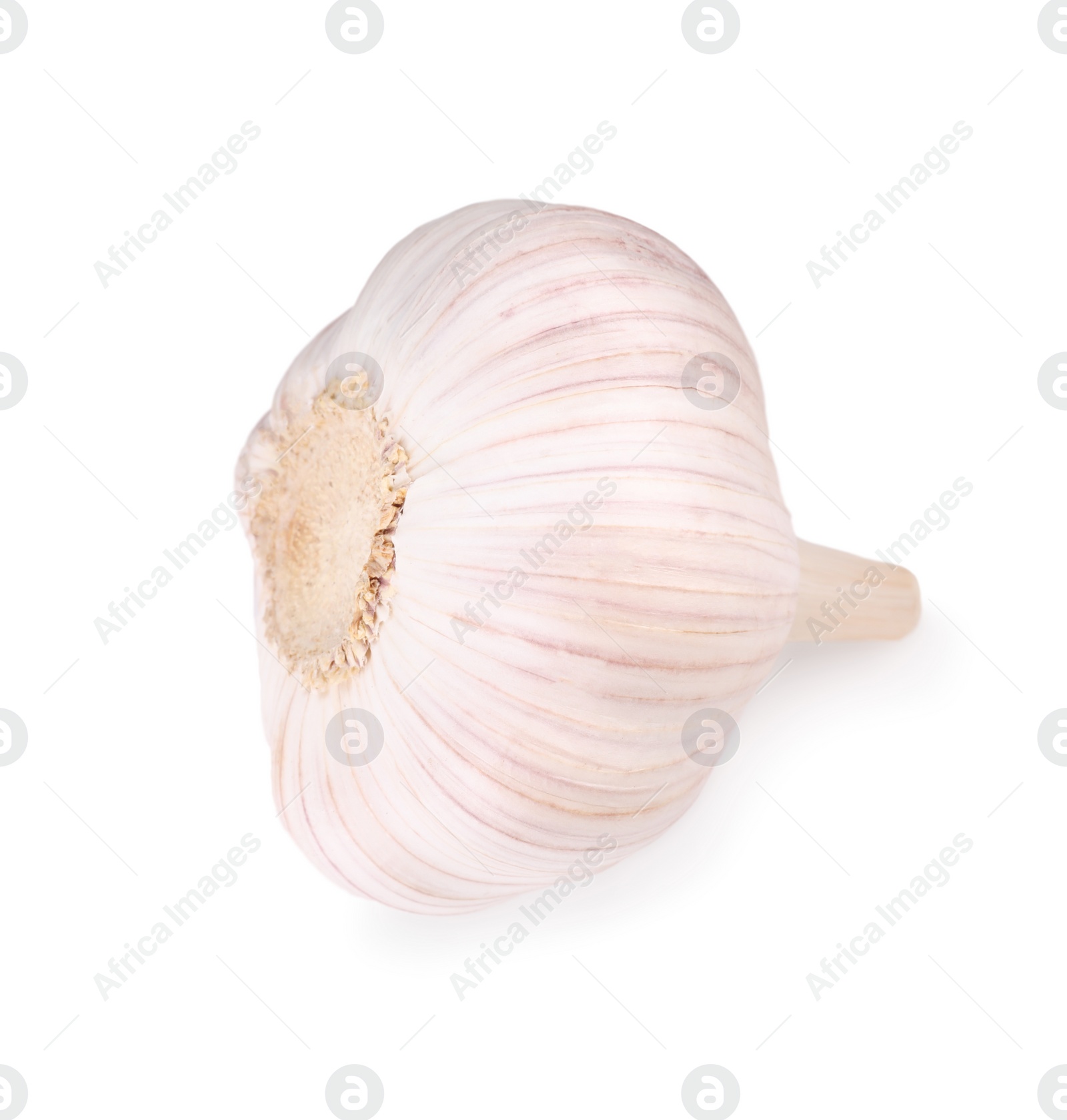 Photo of Head of fresh garlic isolated on white, top view