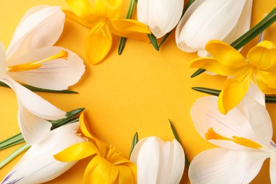 Frame of beautiful crocus flowers on yellow background, flat lay. Space for text