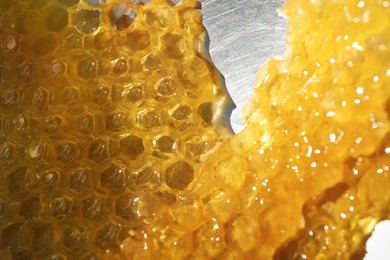 Uncapping honey cells with knife, closeup view