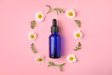Photo of Bottle of essential oil and chamomile flowers on color background, flat lay