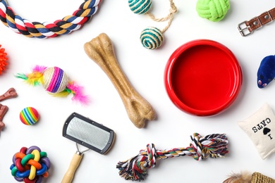 Photo of Flat lay composition with accessories for cat and dog on white background. Pet care