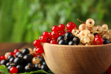 Different fresh ripe currants in bowl on blurred green background, closeup