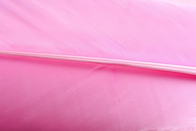 Photo of Closeup view of beautiful pink feather as background