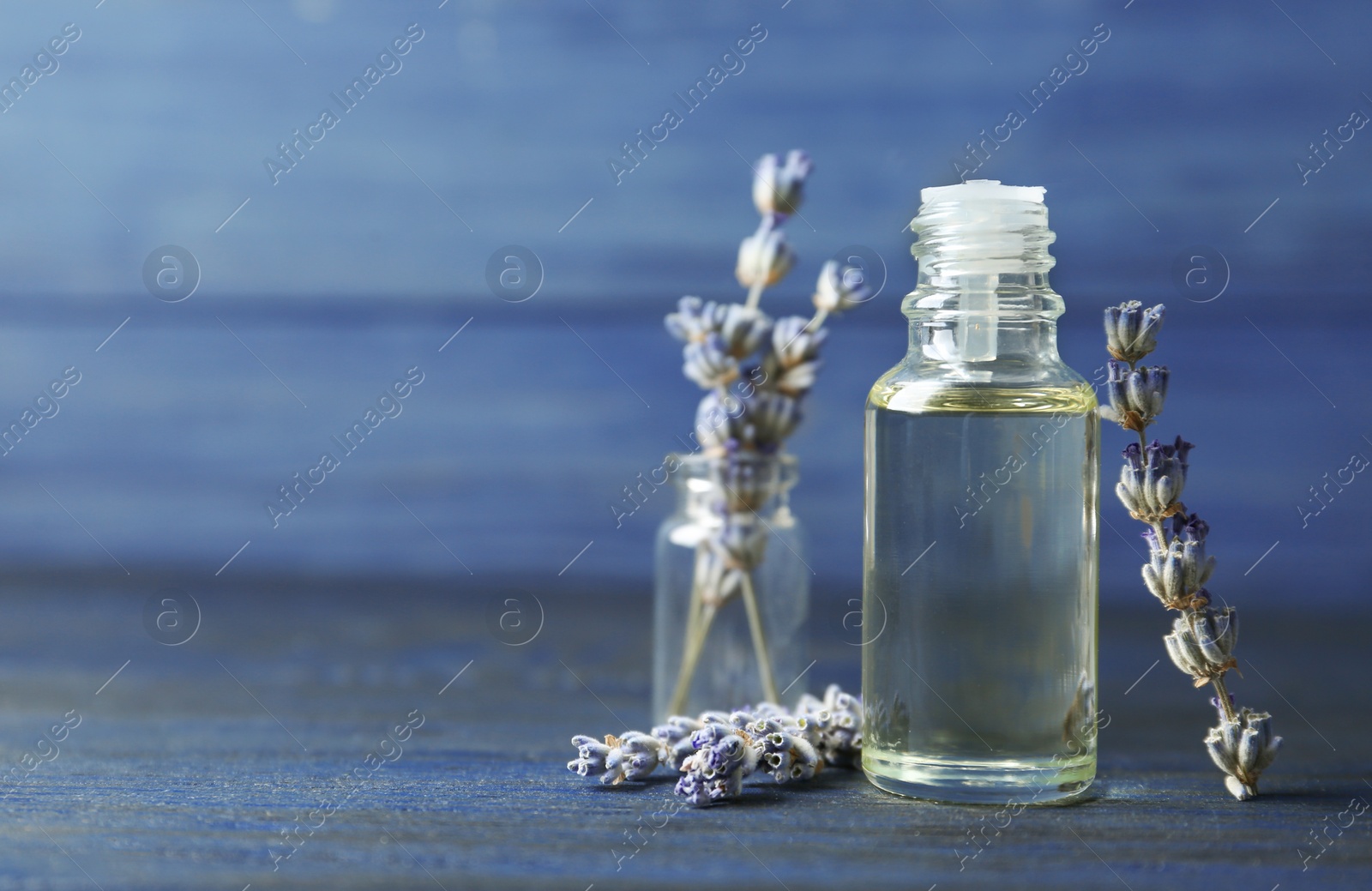 Photo of Bottle of natural essential oil and lavender flowers on blue wooden background. Space for text