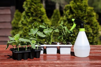 Photo of Seedlings growing in plastic containers with soil and spray bottle on wooden table outdoors